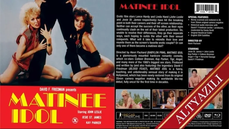 matinee idol 1984.jpg