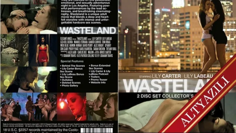 wasteland 2012.jpg