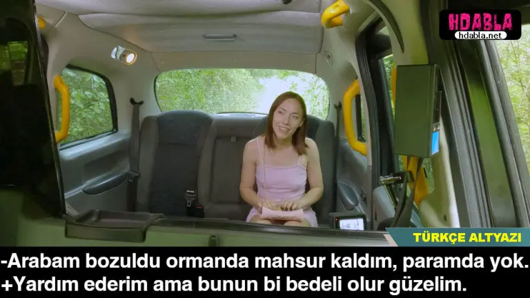 ormanlik alanda arabasi bozulan parasiz kadindan faydalanan taksici.jpg